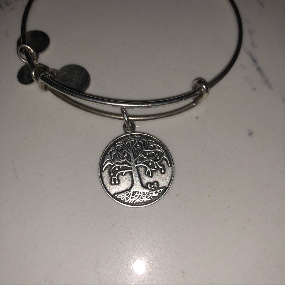 alex & ani bracelet